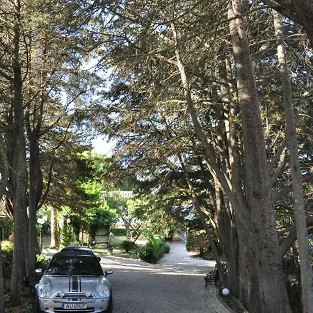 Quinta Do Monte Abelhas - La Vénus De Lisbonne 4*