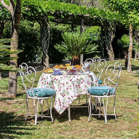 Quinta Do Monte Abelhas - La Venus De Lisbonne Guest house